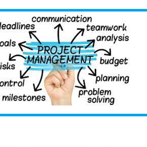 project management